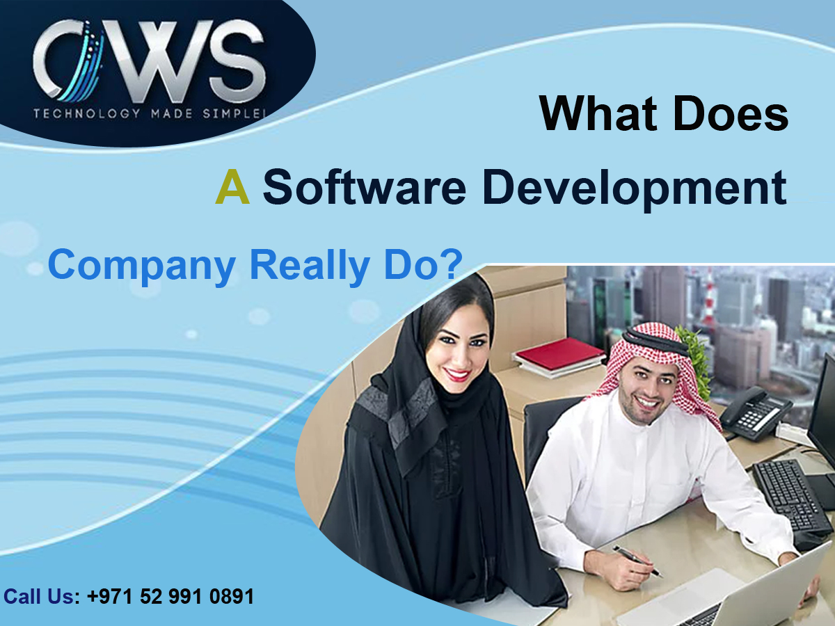 What Does a Software Development Company Really Do?